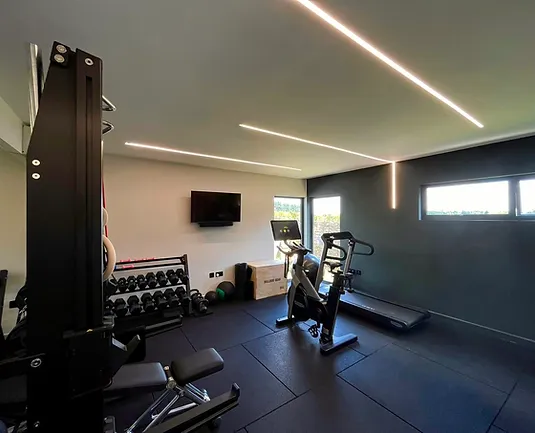 Garden room home gym