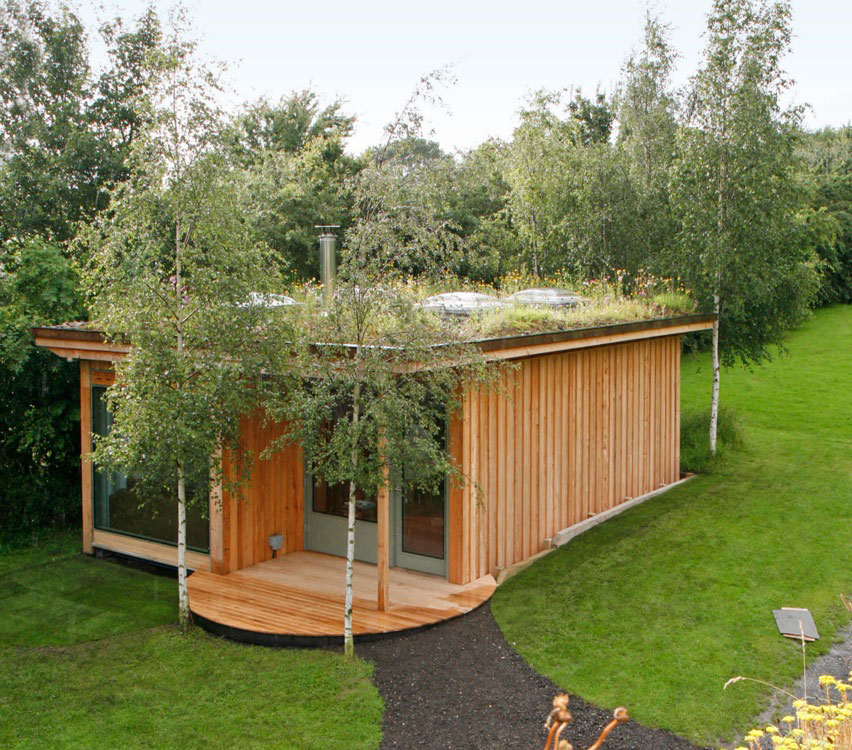 Green roof container garden office