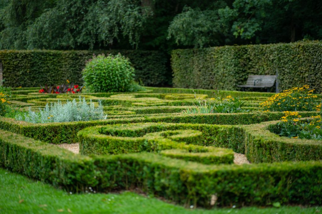 Intricate mazes Gardening Techniques